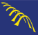 Zimmerei - Holzbau Bormann - Bad Lippspringe - Logo